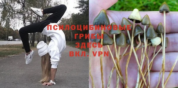 ECSTASY Алексин