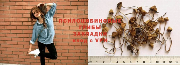 герыч Алексеевка