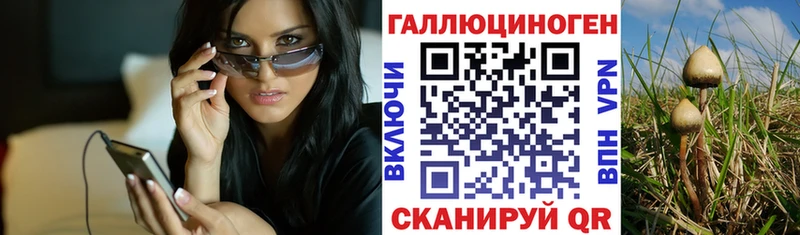 Псилоцибиновые грибы Cubensis Жирновск